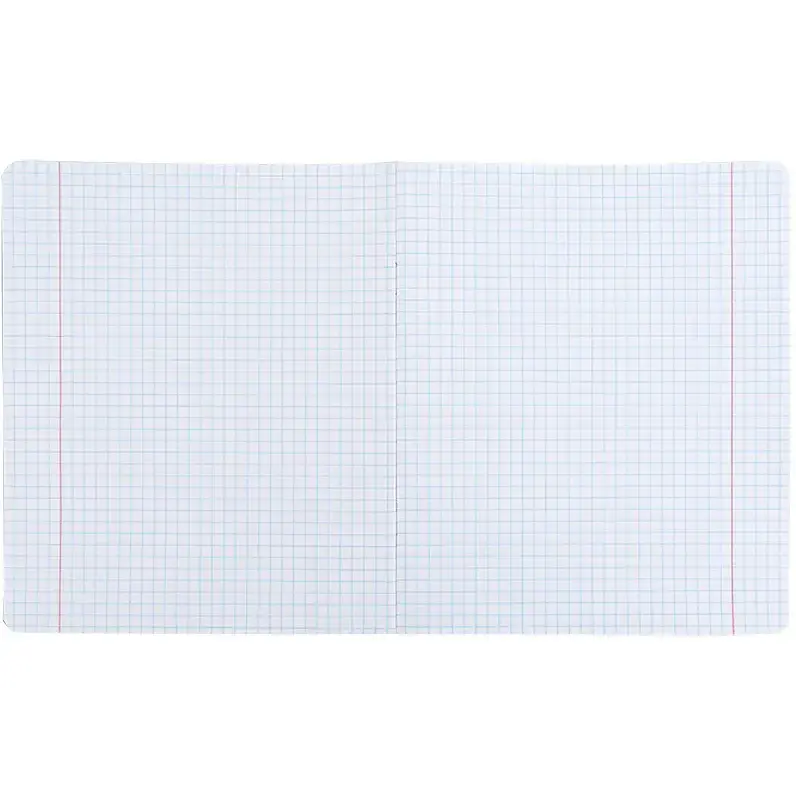 Набір зошитів Kite 48 аркушів у клітинку 10 шт. One color 5 (K26-259-5) - фото 2