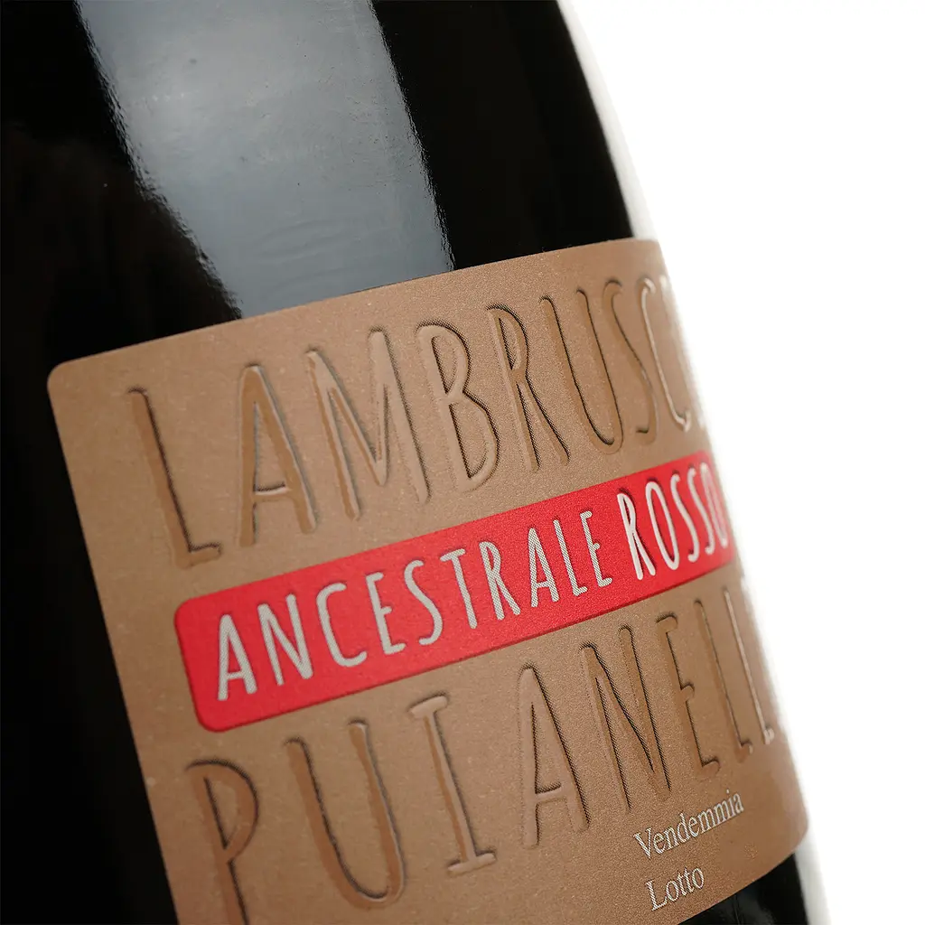 Вино игристое Puianello Ancestrale Lambrusco dell'Emilia IGP Organic красное сухое 0.75 л - фото 3