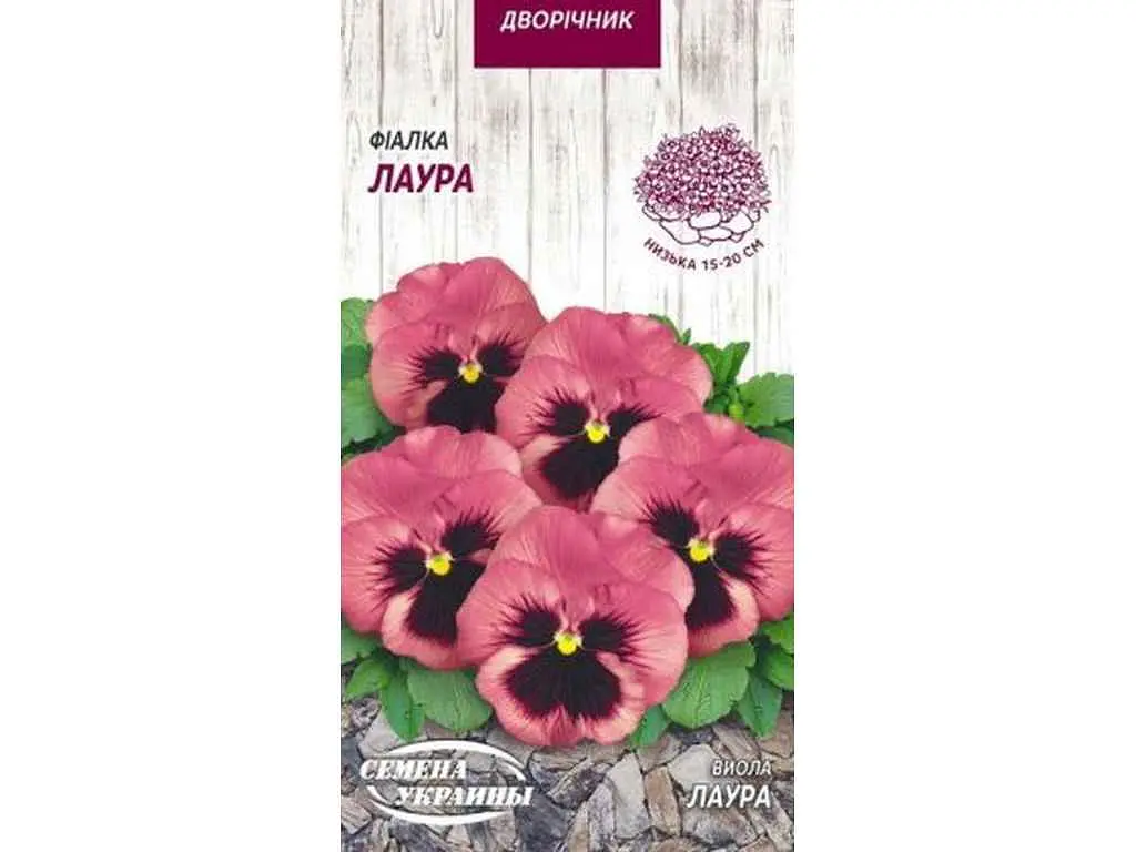 Фіалка СЕМЕНА УКРАИНЫ (10 пачок) ЛАУРА 0,05г