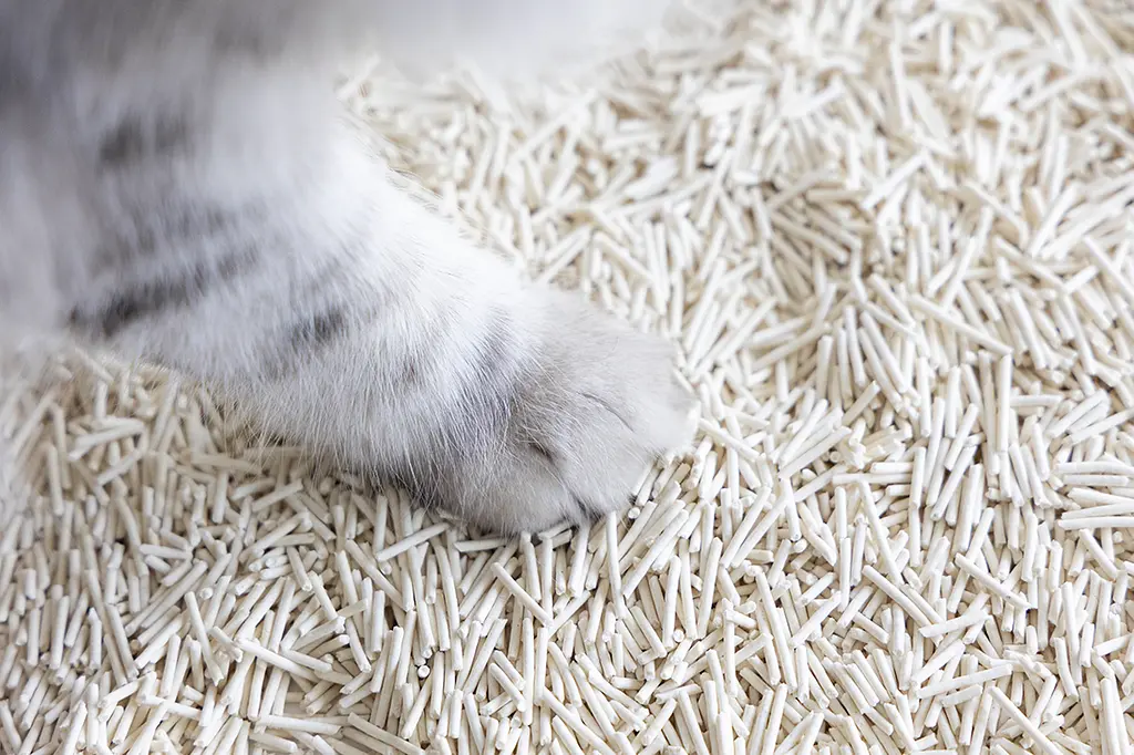 Біорозкладний наповнювач для котячих туалетів UniQ PETS Cat Litter Tofu Natural 5 кг - фото 7