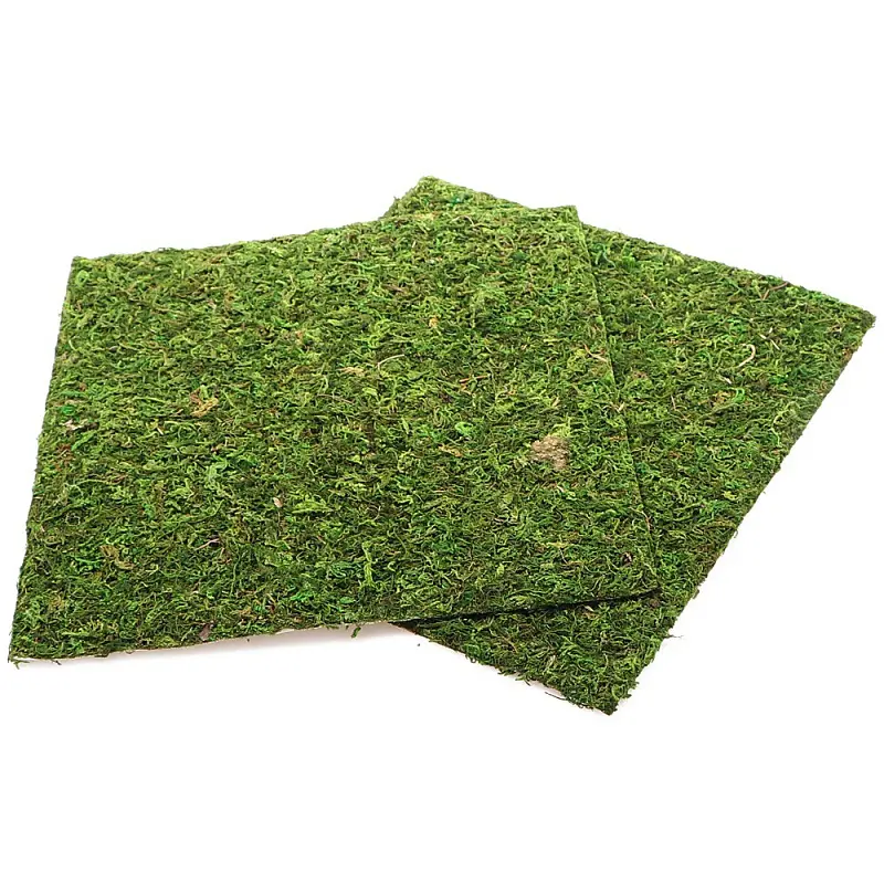 Фон з натурального моху Repti-Zoo Natural Moss Back & Bottom 30x30см 2 шт (NCM3030) для тераріуму - фото 3