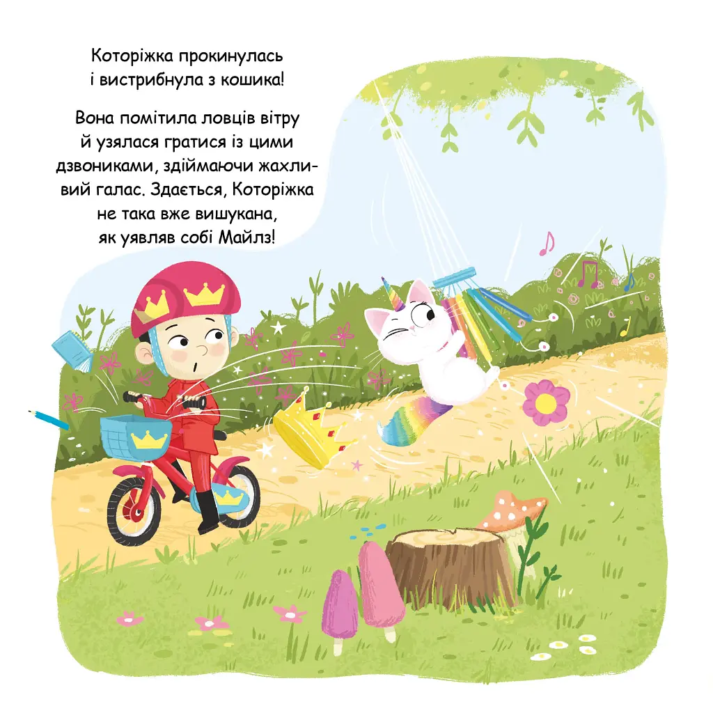 Которіжка - фото 9