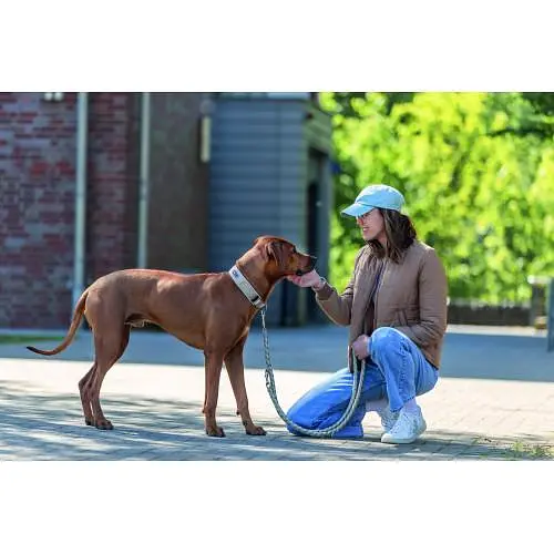 Нашийник для собак Trixie Premium екстраширокий L 46-55 см 50 мм пісочно-сірий - фото 4