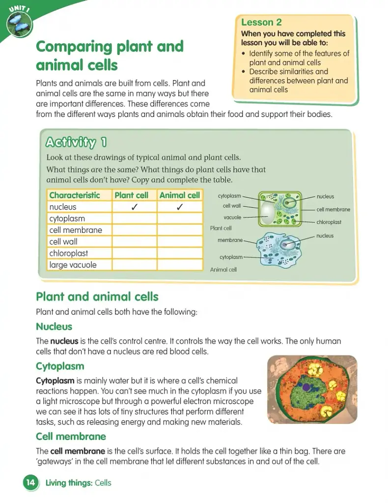 Macmillan Science. Level 6. Student's Book & eBook Pack - фото 7