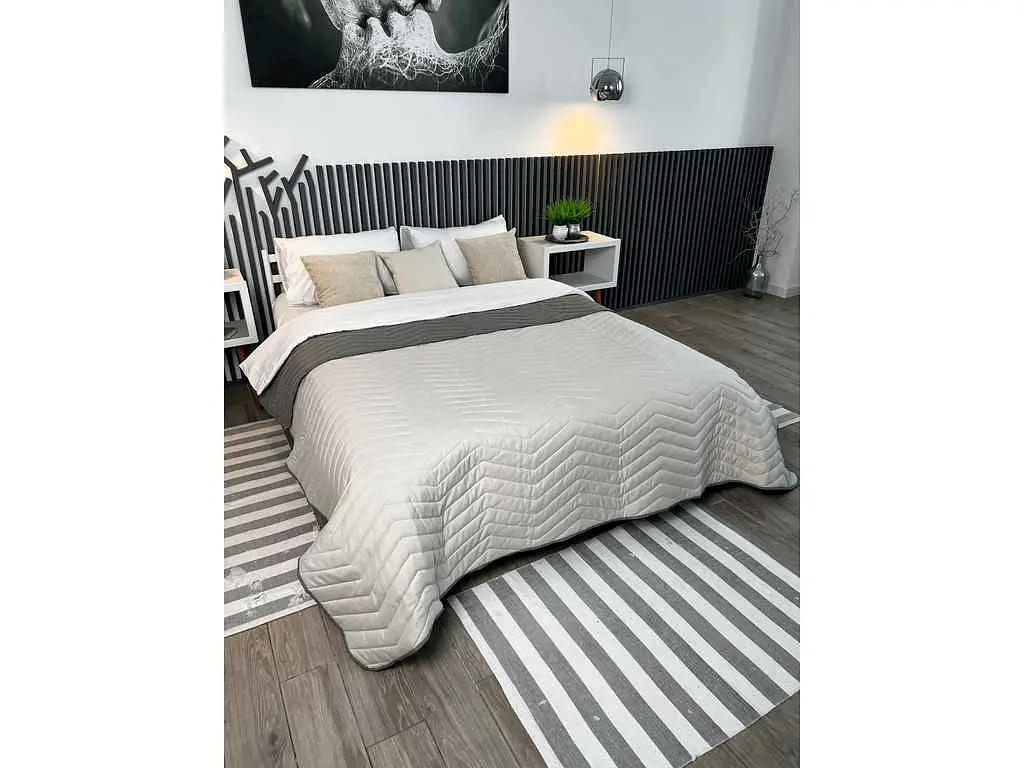 Покривало ARCLOUD 180*210 DOUBLE FACE Elephant Skin+Printed 10003-6 ZIGZAG BIG сумка - фото 4