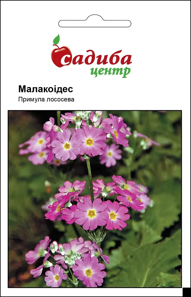 Примула Малакоідес, лососева, 0,01 г, Садиба Центр