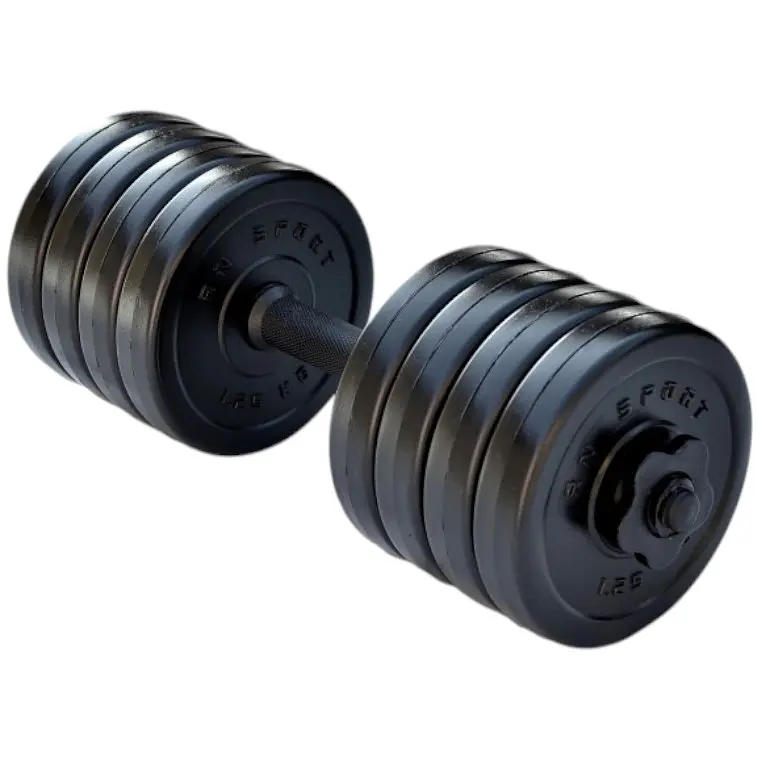 Гантель RN Sport Long розбірна 10 кг