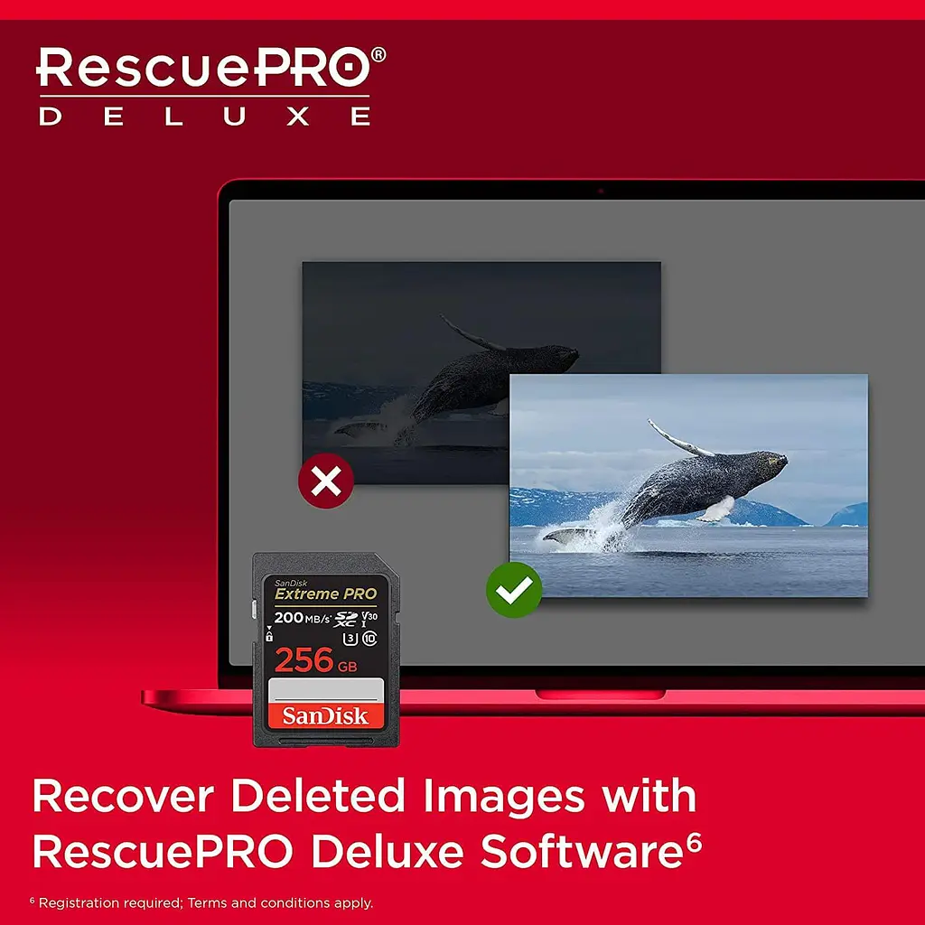Карта пам'яті Sandisk 256GB SD C10 UHS-I U3 R200/W140MB/s Extreme Pro V30 (SDSDXXD-256G-GN4IN) - фото 4