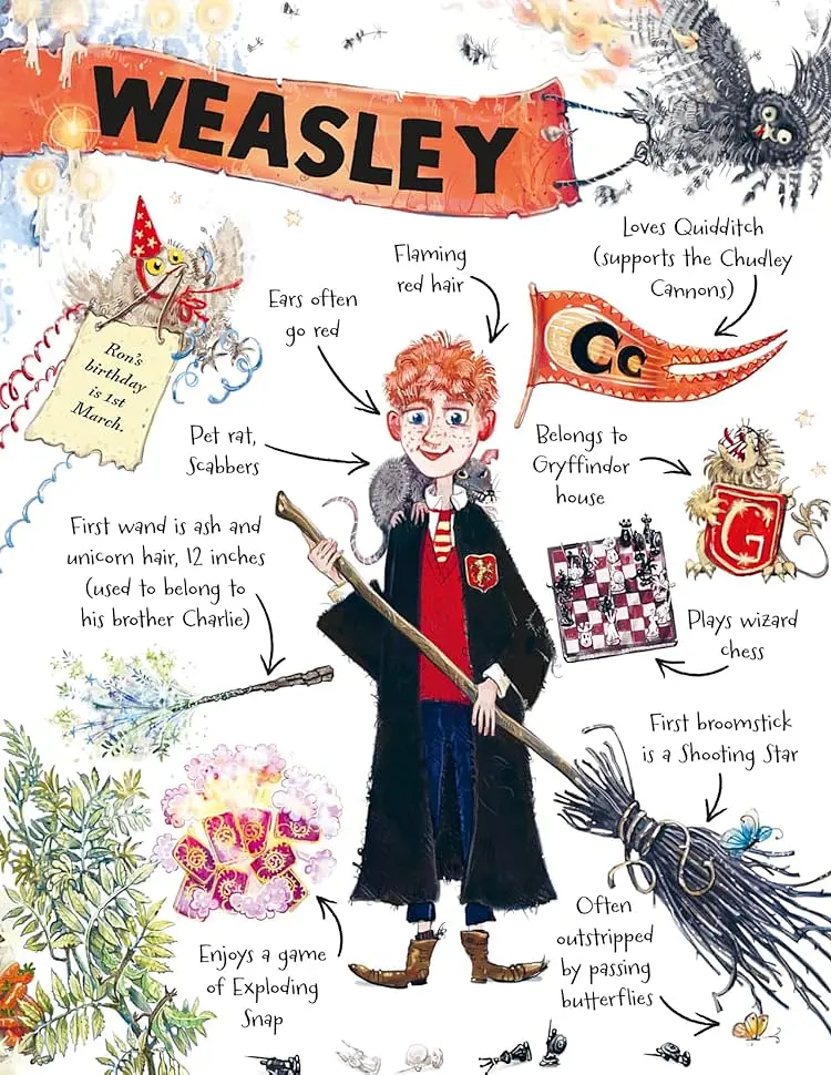 Pocket Potters: Ron Weasley - Ролінґ Джоан - фото 5