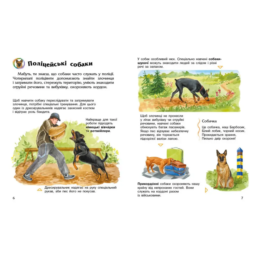 Енциклопедія дошкільника Собаки 614035 для найменших - фото 3