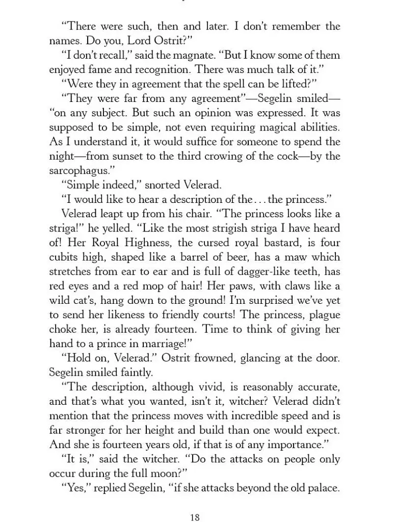 The Last Wish - фото 18