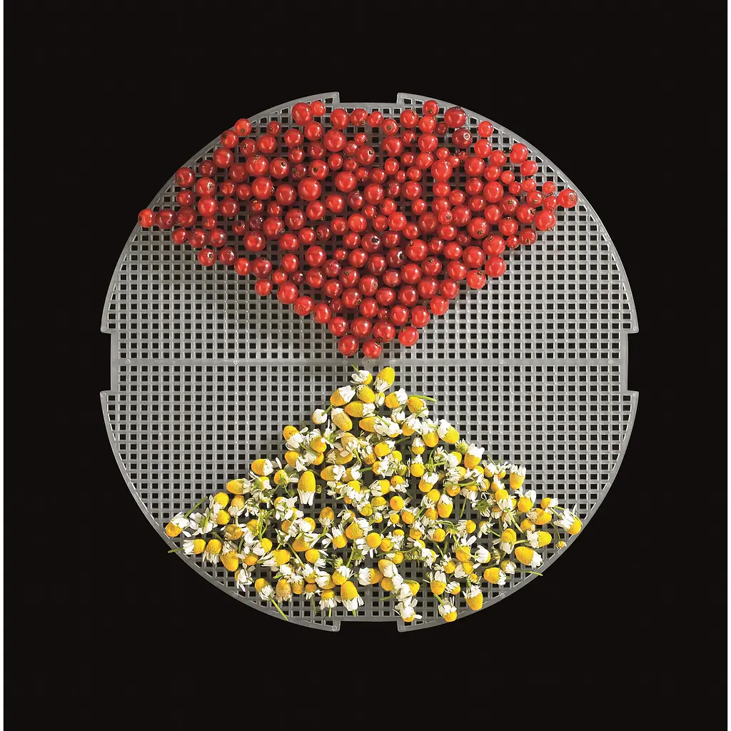 Сушарка для овочів і фруктів Gorenje FDK20MG 5 піддонів - фото 4