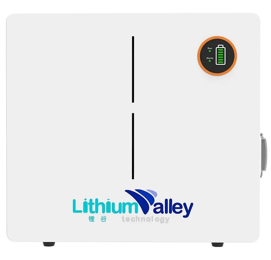 Акумуляторна батарея для ДБЖ Lithium Valley LiFePO4 51.2 V / 100 А*ч (42-00401) - фото 2