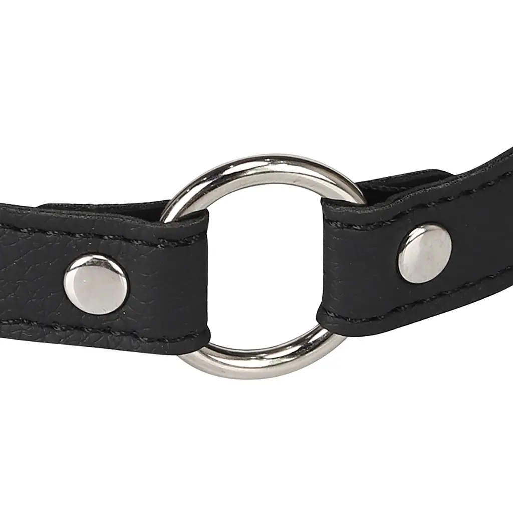 Нашийник Erospace Wild Play Choker With Ring C17 чорний - фото 4