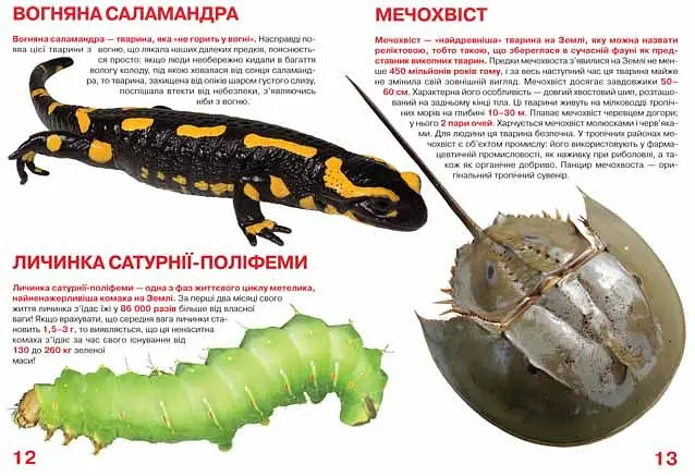 Велика книга Кристал Бук Рекорди тваринного світу (F00017392) - фото 3