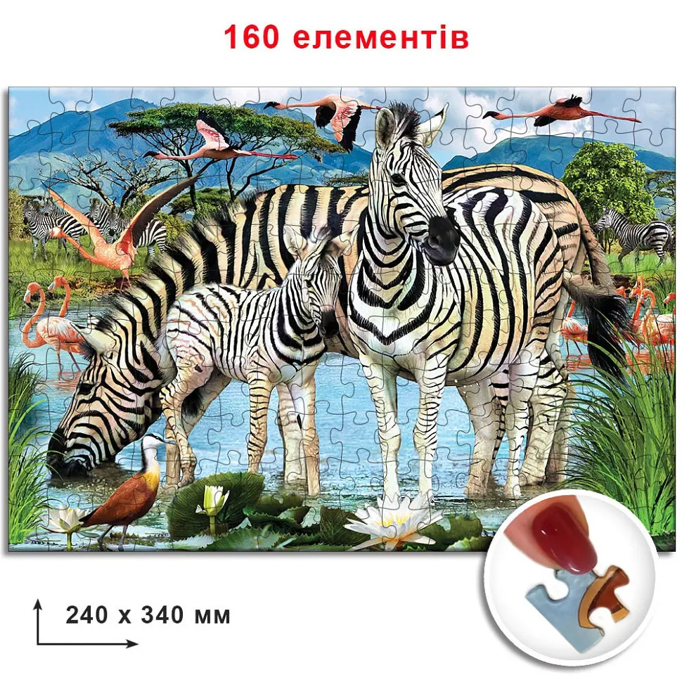 Пазли Зебри 82975 ЕГ-06 160 елементів - фото 2