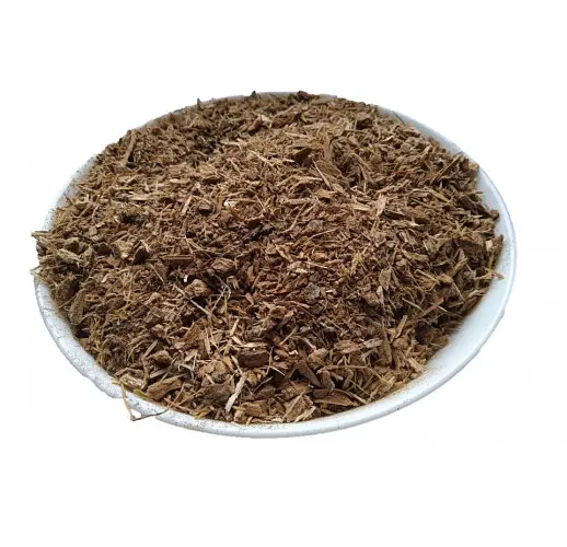 Дуб Кора Quercus robur - фото 2