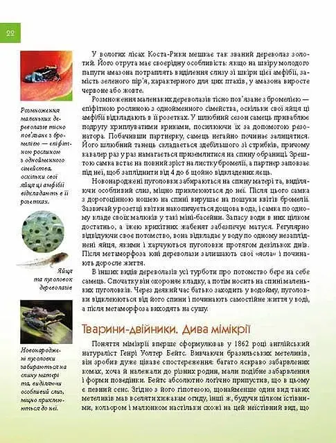 Тварини - майстри маскування. Енциклопедія для допитливих - Андрій Гапченко - фото 6