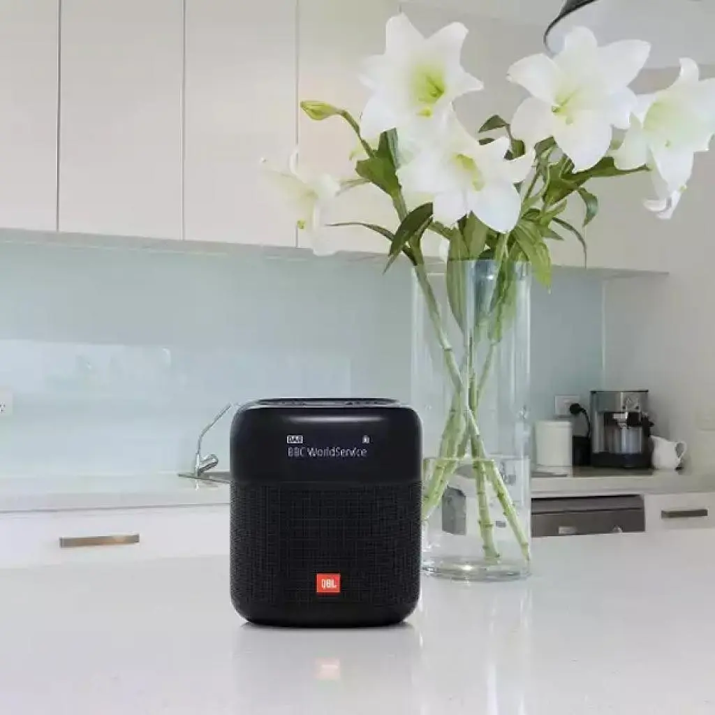 Акустична система JBL Tuner XL Black (JBLTUNERXLBLKEU) - фото 8