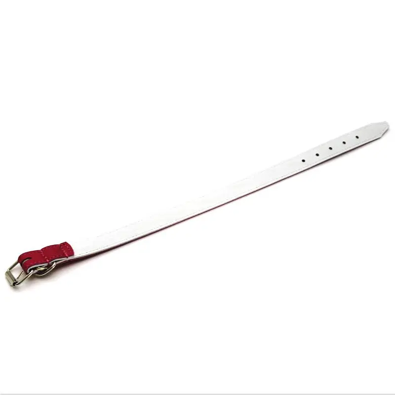 Нашийник для собак Zoo-hunt ОД Фарби шкіряний подвійний рожевий 1,8/28-36 см - фото 2