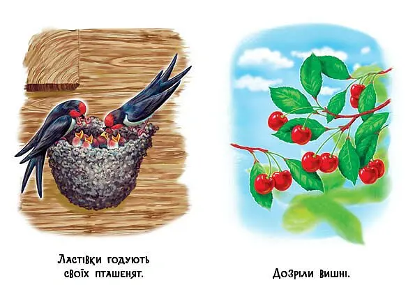 22 картинки. Пори року - - фото 3