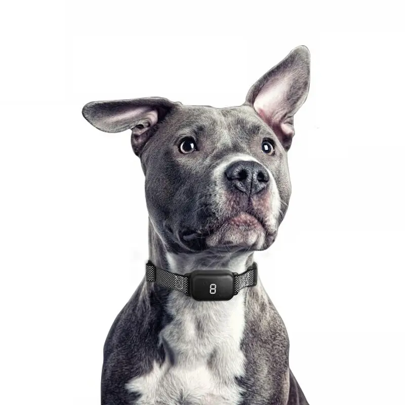 Сенсорный водонепроницаемый ошейник антилай со звуком, вибрацией и электрошоком DOBE DB 800 (100984) - фото 2