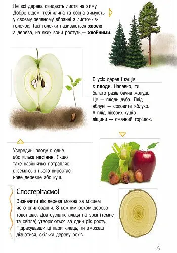 Природа. Енциклопедія дошкільника - Юлія Каспарова - фото 5