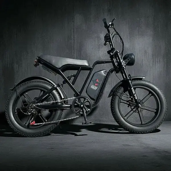 Електровелосипед Volto Vortex 22" фетбайк 1000W 48V 19Ah PAS система чорний - фото 4