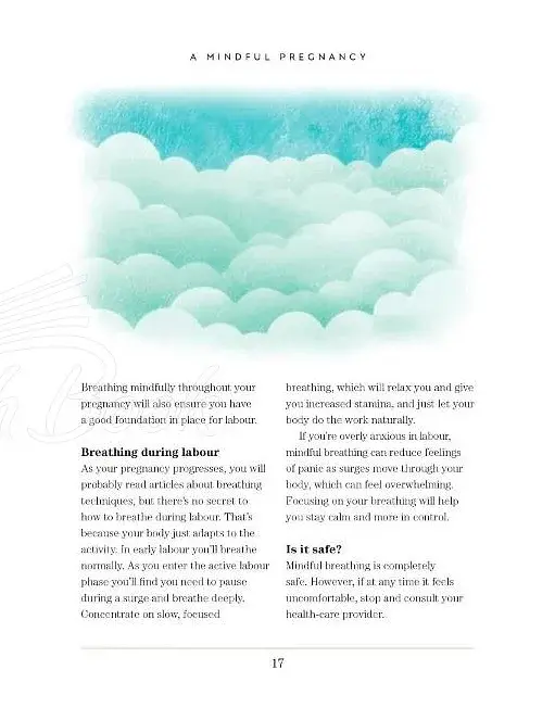 Mindful Pregnancy - фото 3