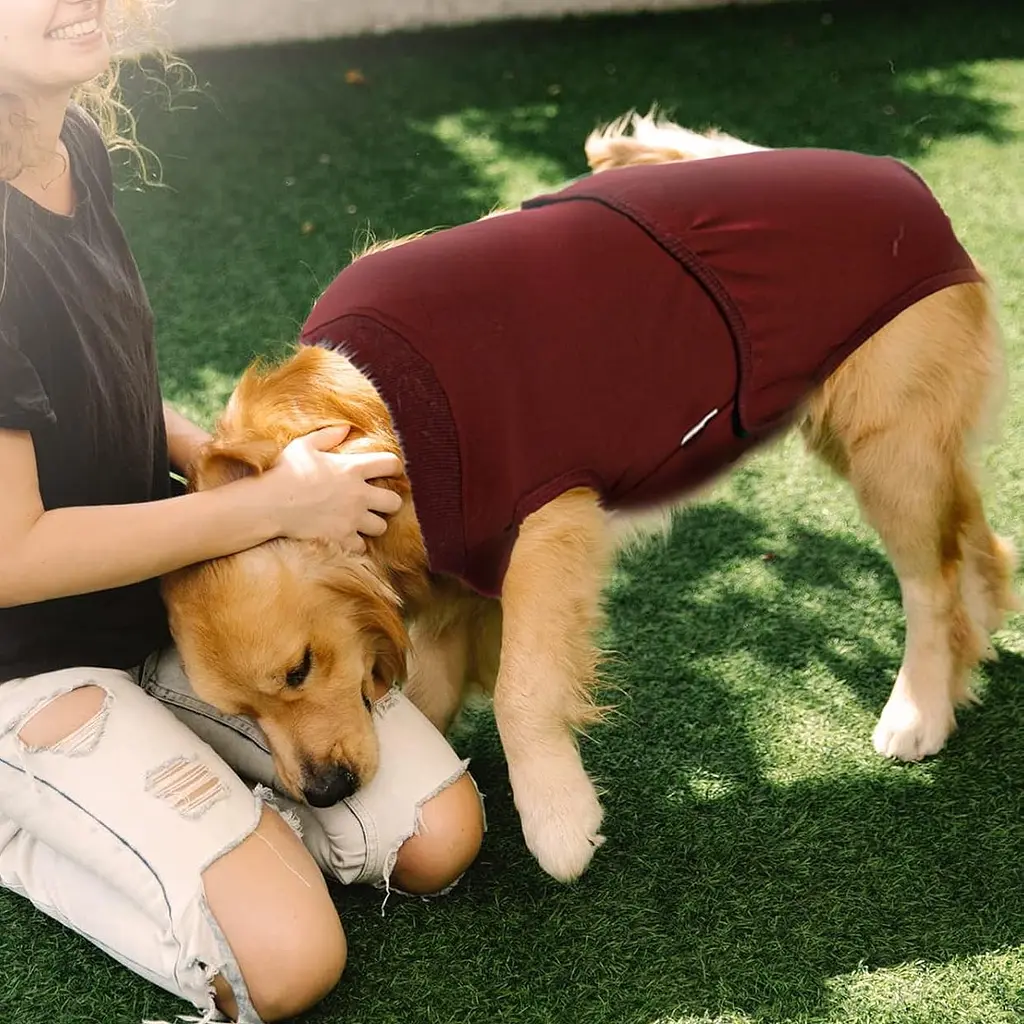 Гігієнічні труси/комбінезон для собак WanTalk Full Body Dog Diaper, Wine Red, 2XL - фото 5