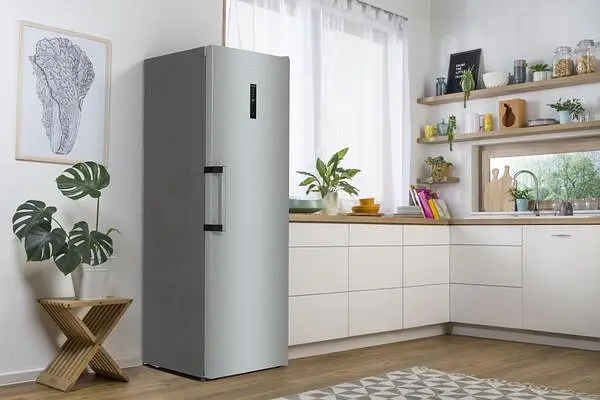 Морозильная камера Gorenje FN619EAXL6 - фото 7