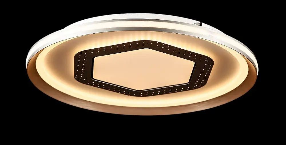 Люстра потолочная LED Splendid Ray L55088/500C/1, 152W, регулируемая температура света, 50 см, современный стиль для дома - фото 3