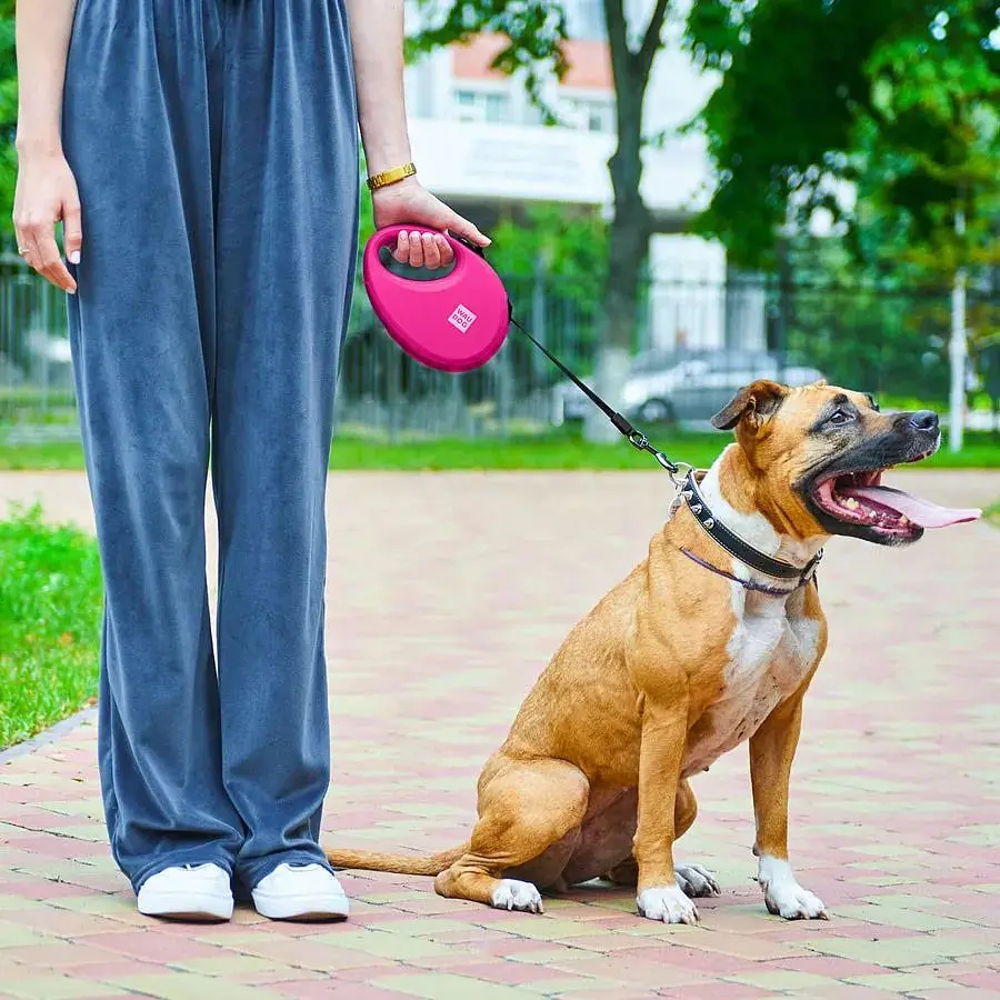 Повідець-рулетка для собак Waudog R-leash з контейнером для пакетів, світловідбивна стрічка, L, до 40 кг, 5 м, рожевий - фото 8