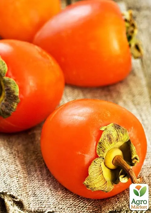Хурма на віргінській морозостійкій підщепі Agro-Market "Бичаче серце" вкорінена в контейнері (саджанець 2 роки) (153263) 1 саджанець в упаковці - фото 2