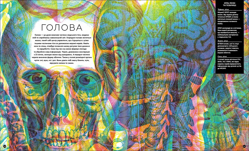 Прихований світ людського тіла - фото 8