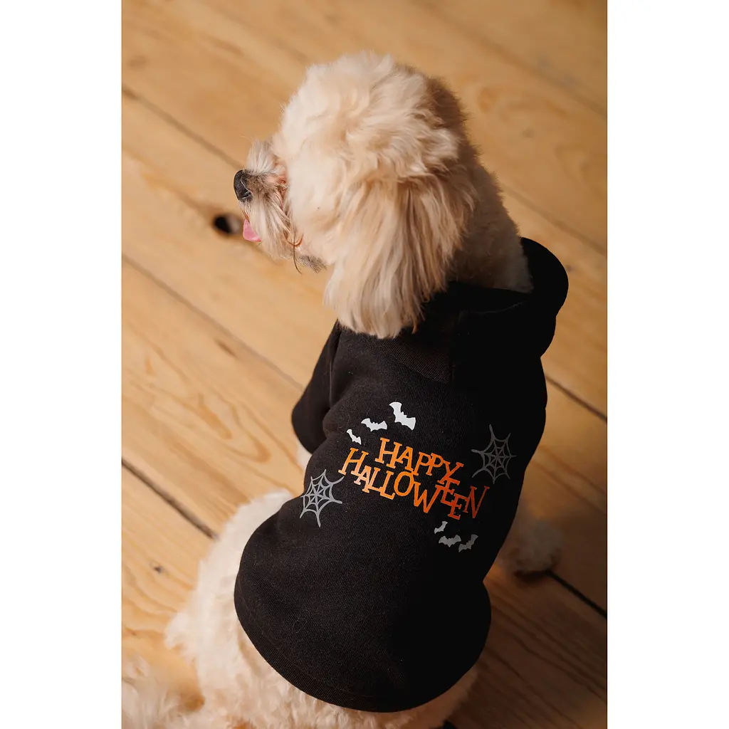 Толстовка для собак Pet Fashion Halloween S чорна - фото 6