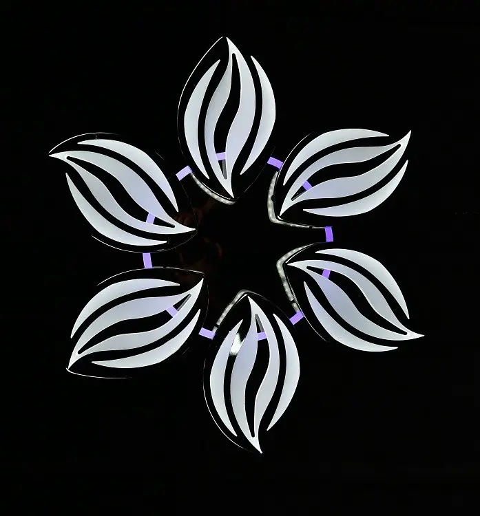 Люстра стельова LED Splendid Ray LK23/6, 160W, чорний/білий, димер, сучасний стиль - фото 6