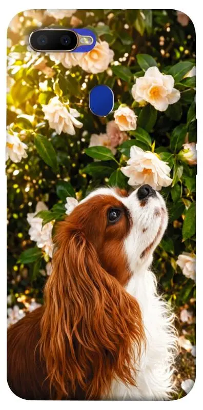 TPU чохол Demsky Flower spaniel для Oppo A5s / Oppo A12