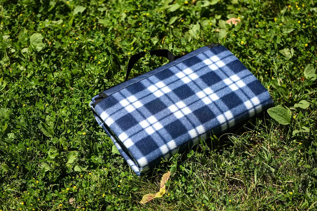 Плед Ardesto Picnic 130х170 см 100% полиэстер клеточка синий pbe0050456 - фото 4
