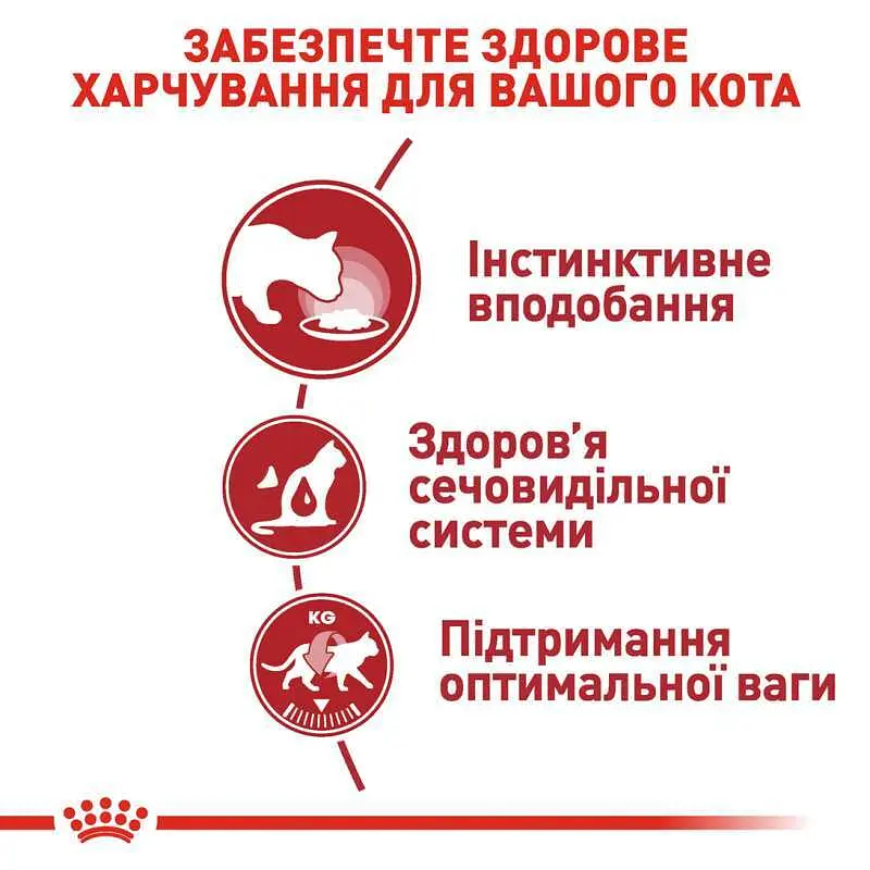 Влажный корм для взрослых кошек Royal Canin Instinctive, кусочки в соусе, 85 г - фото 4