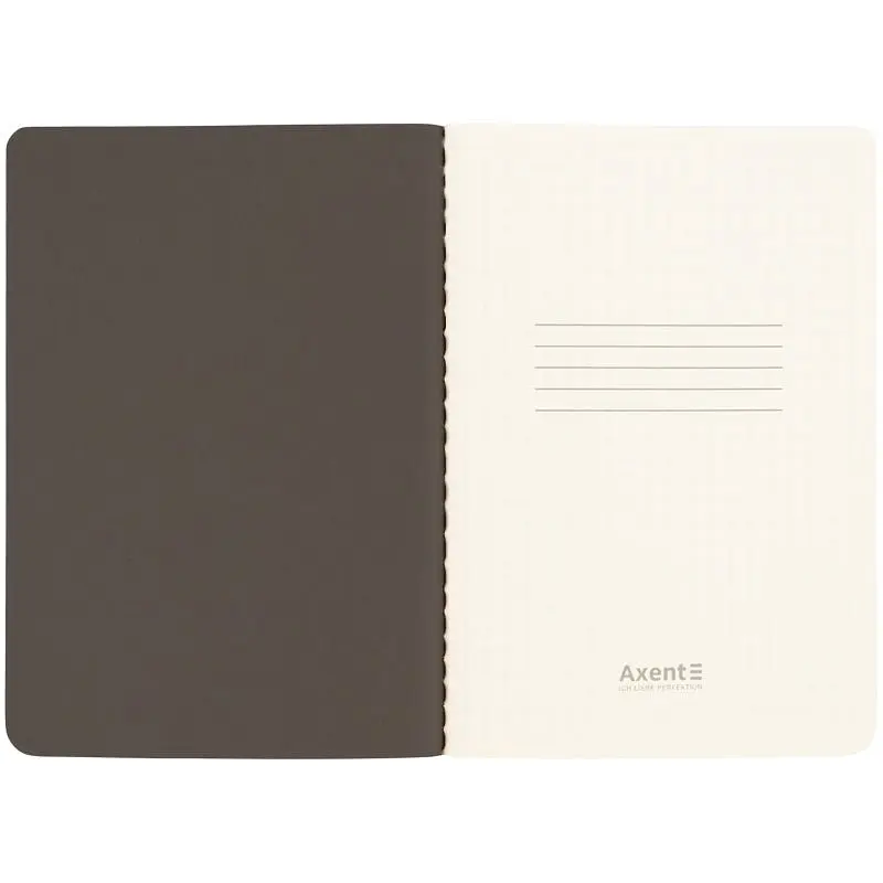 Книга записна Axent Turnowsky Silky Smooth 1 A6 60 аркушів клітинка (8711-10-A-TR) - фото 5