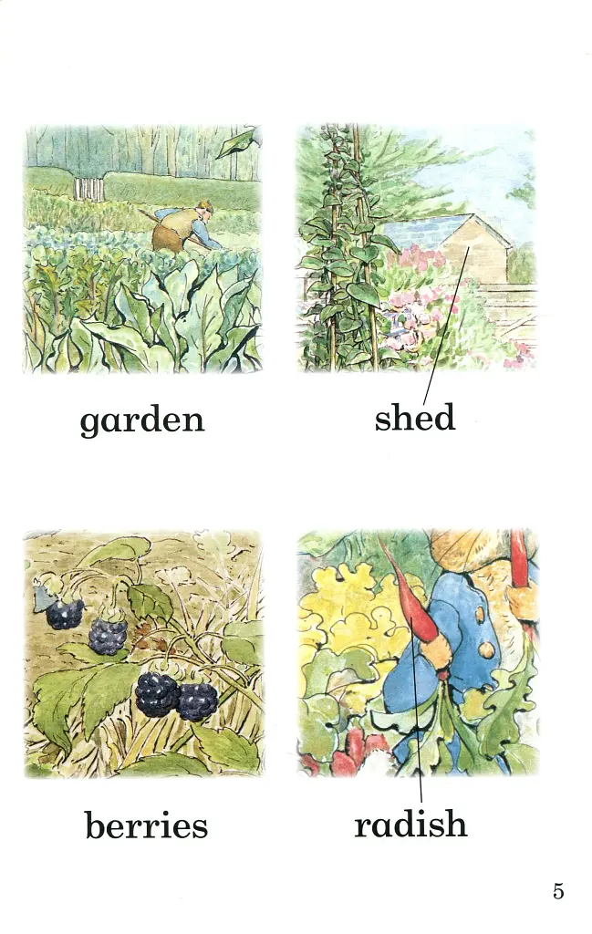 The Tale of Peter Rabbit. Ladybird Readers. Level 1 - фото 4