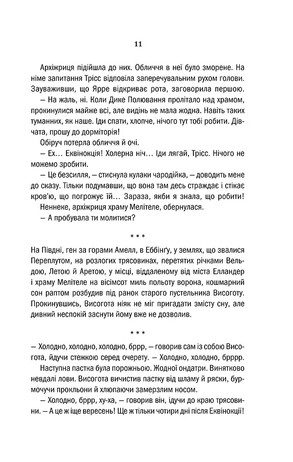 Відьмак. Вежа Ластівки. Книга 6 - фото 9