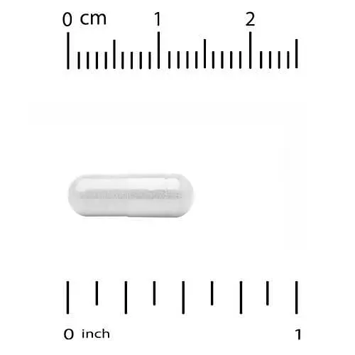 5-HTP 100 mg 60 Capsules CGN vit0006753 - фото 3