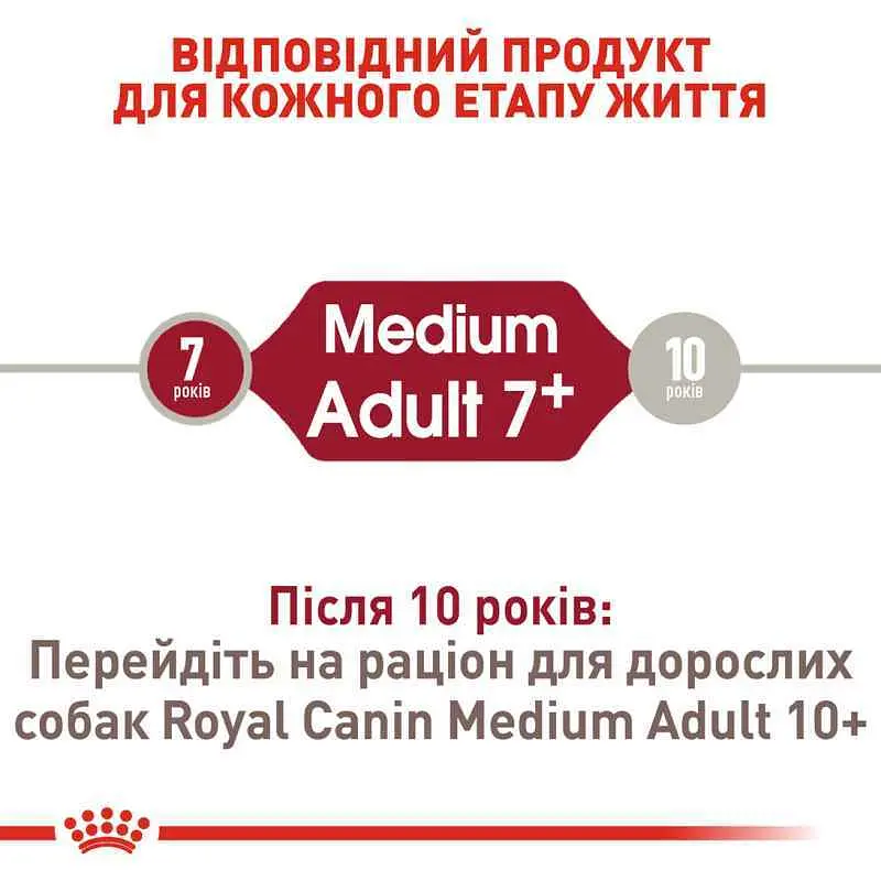 Сухий корм для старіючих собак Royal Canin Medium Adult 7+, 4 кг (3005040) - фото 7