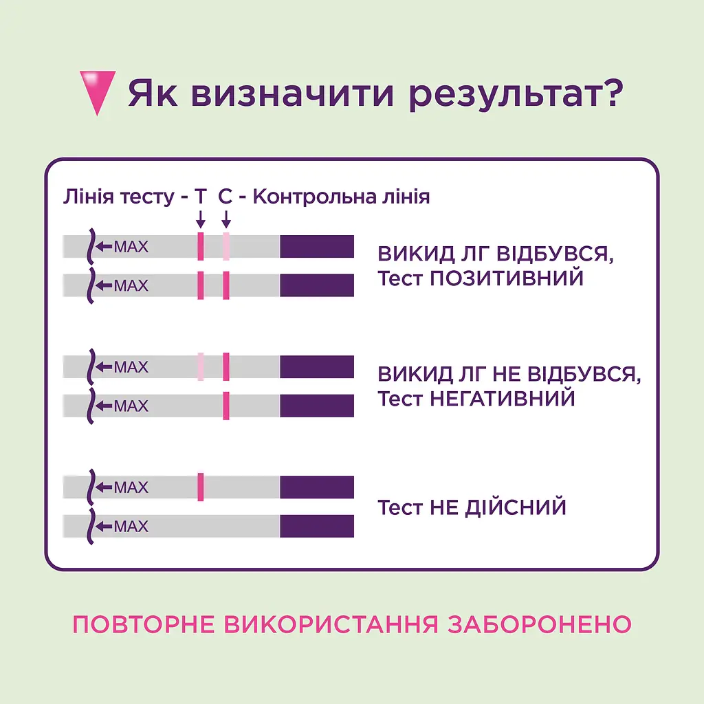 Набір тест-смужок Eviplan для визначення овуляції та вагітності, 5+1 шт. (4033033418036) - фото 5