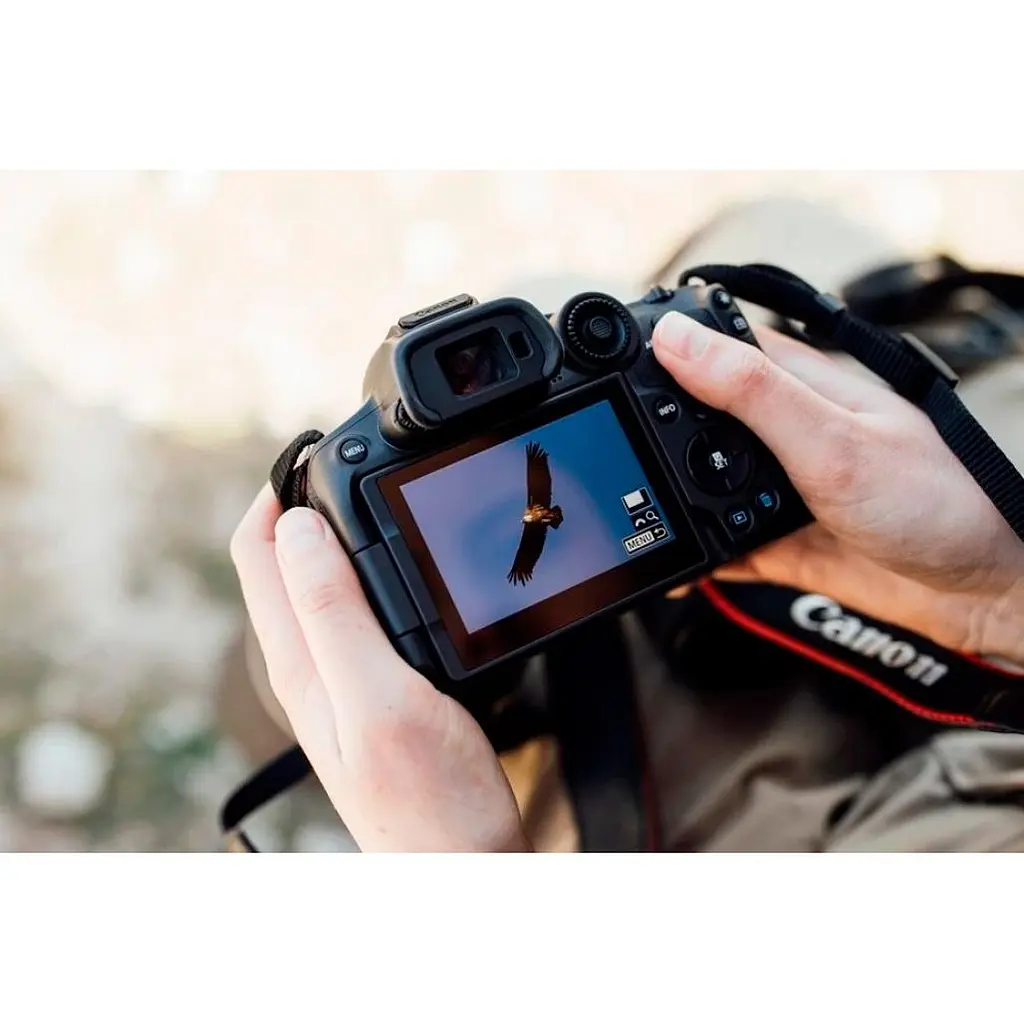 Бездзеркальний фотоапарат Canon EOS R7 Kit RF-S 18-150mm IS STM (5137C040) UA [117132] - фото 15