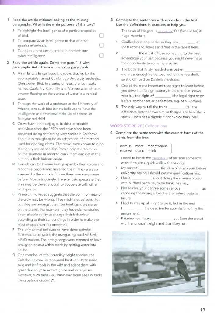 Focus 5. Second Edition. Workbook - Даніель Брейшоу - фото 6