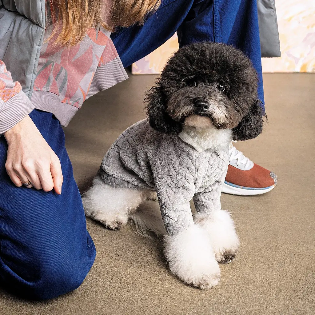 Толстовка Pet Fashion Delicate XS сіра - фото 3