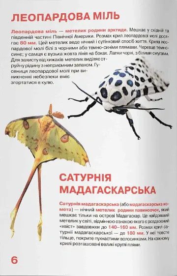 Велика книжка. Комахи - Олег Зав'язкин - фото 3